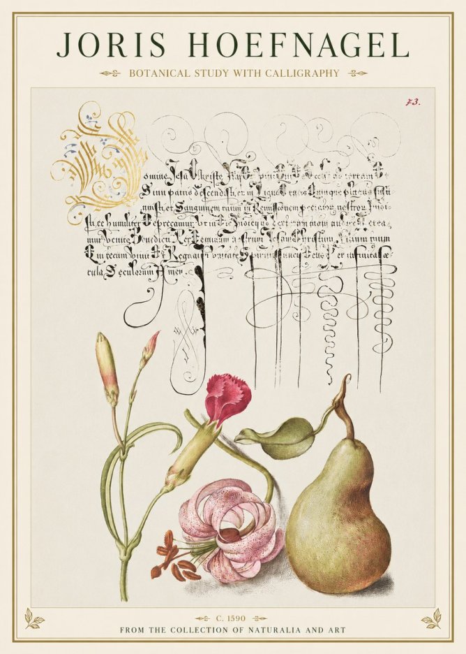 Joris Hoefnagel Botanical Study with Calligraphy II No1 - Affiche