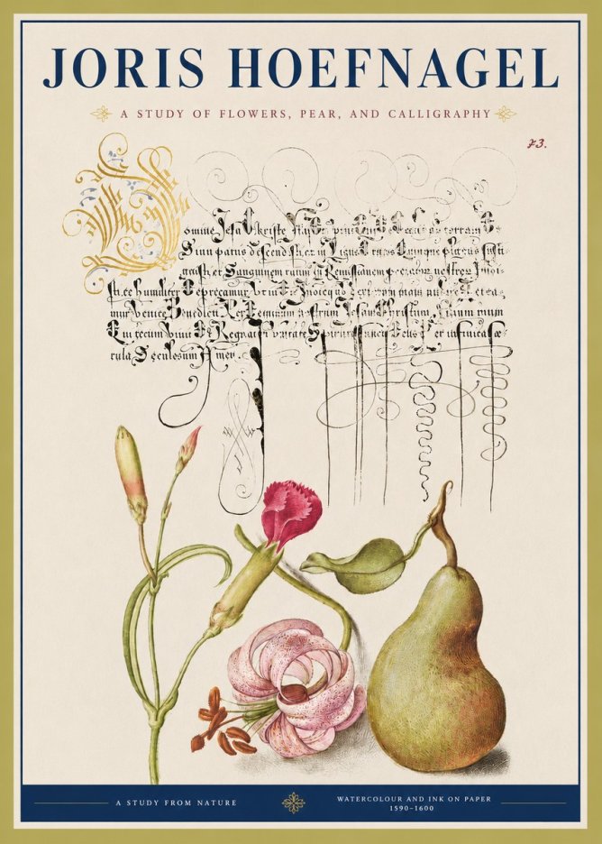 Joris Hoefnagel Botanical Study with Calligraphy II No4 - Affiche