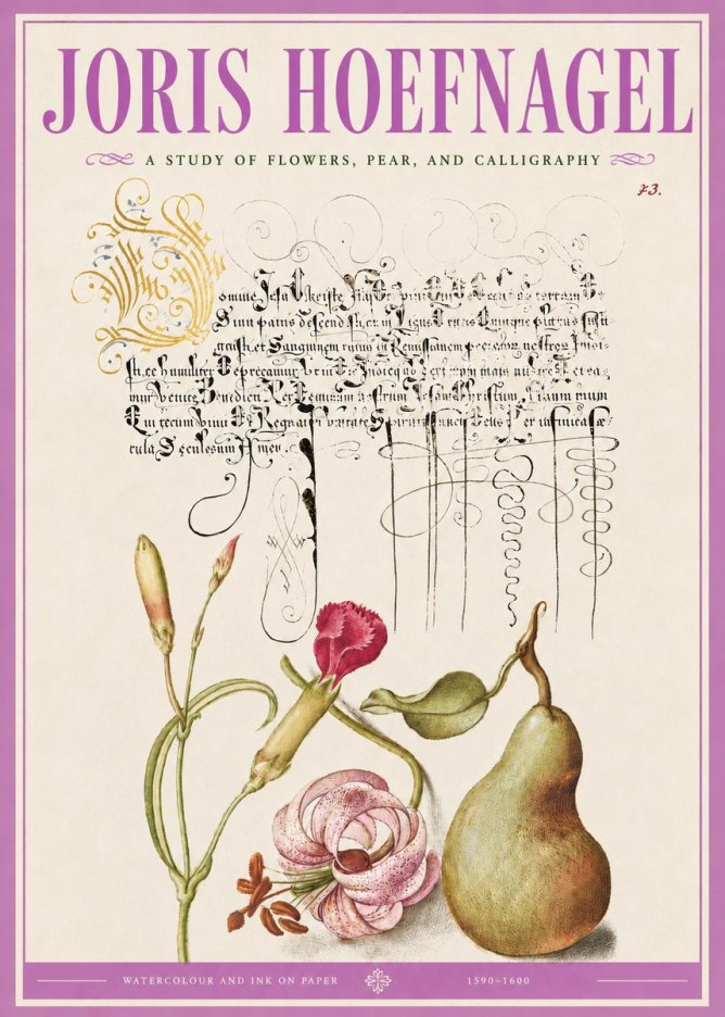 Joris Hoefnagel Botanical Study with Calligraphy II No5 - Affiche
