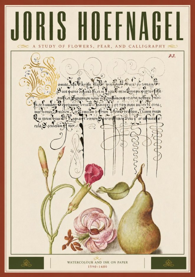 Joris Hoefnagel Botanical Study with Calligraphy II No6 - Affiche