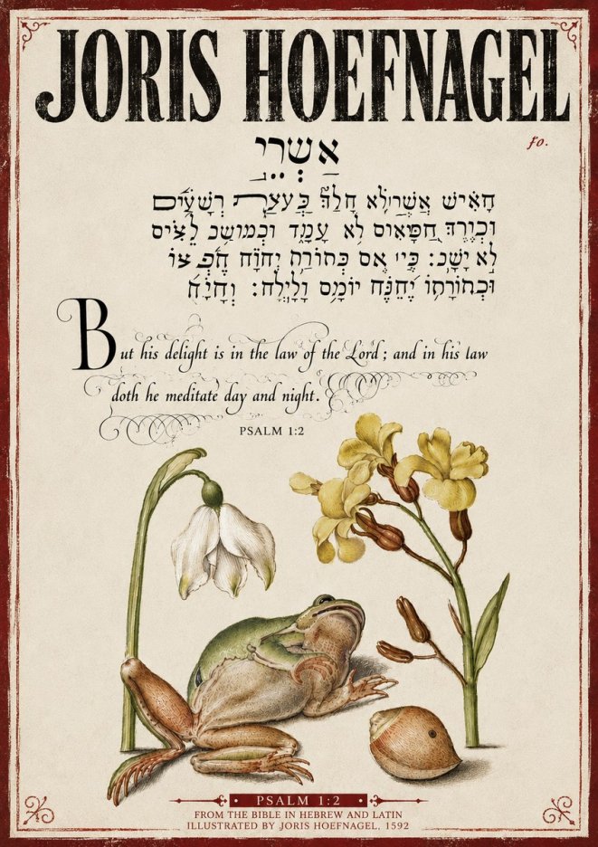 Joris Hoefnagel Psalm 1:2 No4 - Affiche