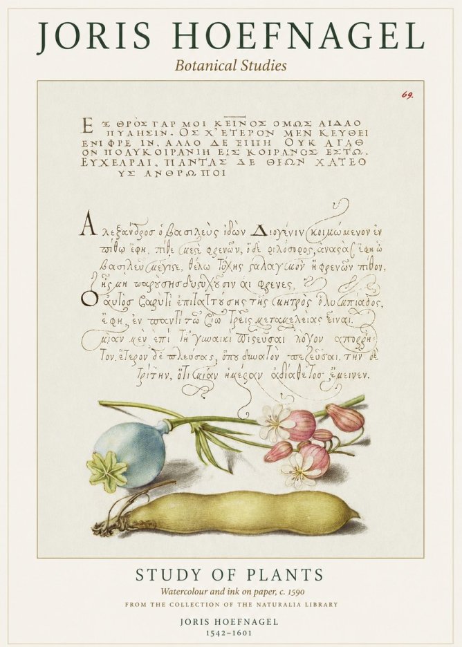Joris Hoefnagel Study of Plants I No1 - Affiche
