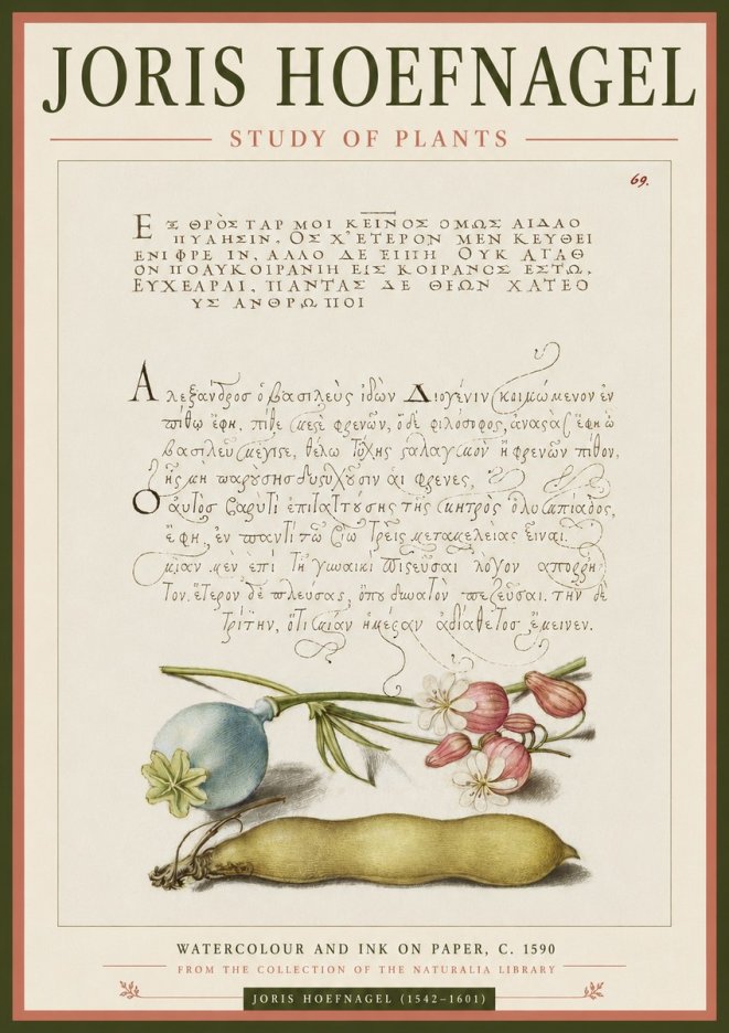 Joris Hoefnagel Study of Plants I No3 - Affiche