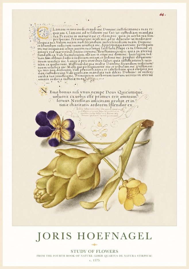Joris Hoefnagel Botanical Study with Calligraphy III No2 - Affiche
