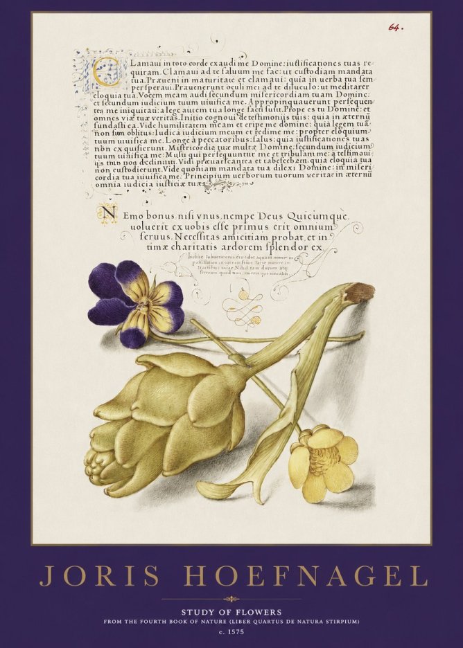 Joris Hoefnagel Botanical Study with Calligraphy III No3 - Affiche