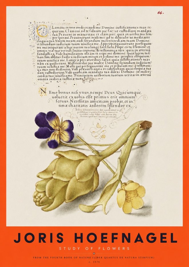 Joris Hoefnagel Botanical Study with Calligraphy III No4 - Affiche