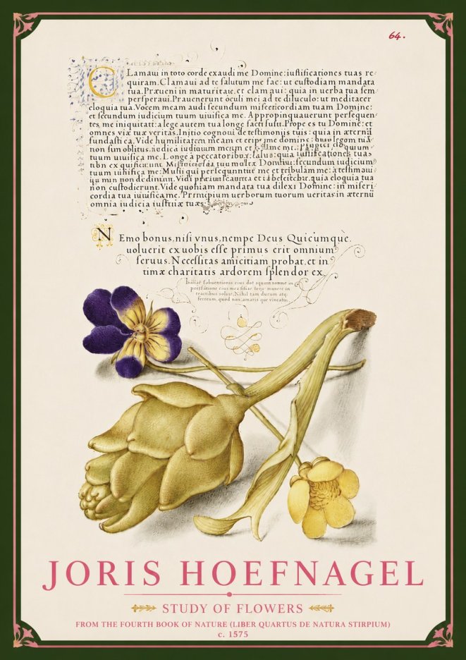 Joris Hoefnagel Botanical Study with Calligraphy III No6 - Affiche