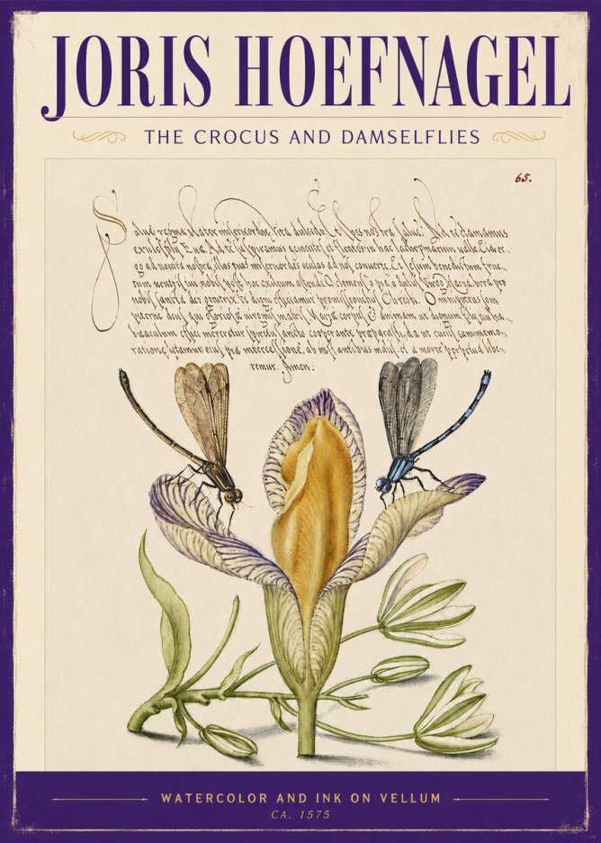 Joris Hoefnagel The Crocus and Damselflies No2 - Affiche