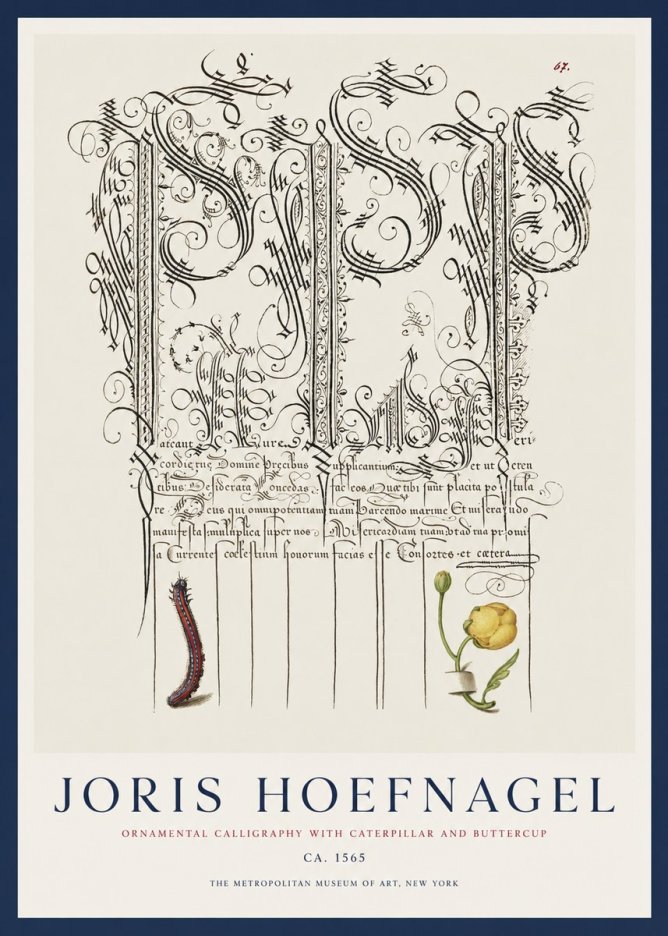 Joris Hoefnagel Ornamental Calligraphy with Caterpillar and Buttercup No1 - Affiche