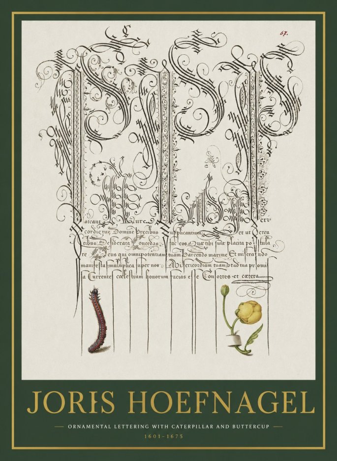 Joris Hoefnagel Ornamental Calligraphy with Caterpillar and Buttercup No2 - Affiche