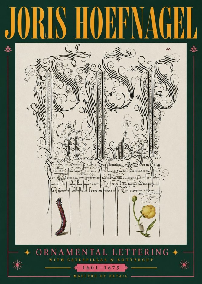 Joris Hoefnagel Ornamental Calligraphy with Caterpillar and Buttercup No5 - Affiche