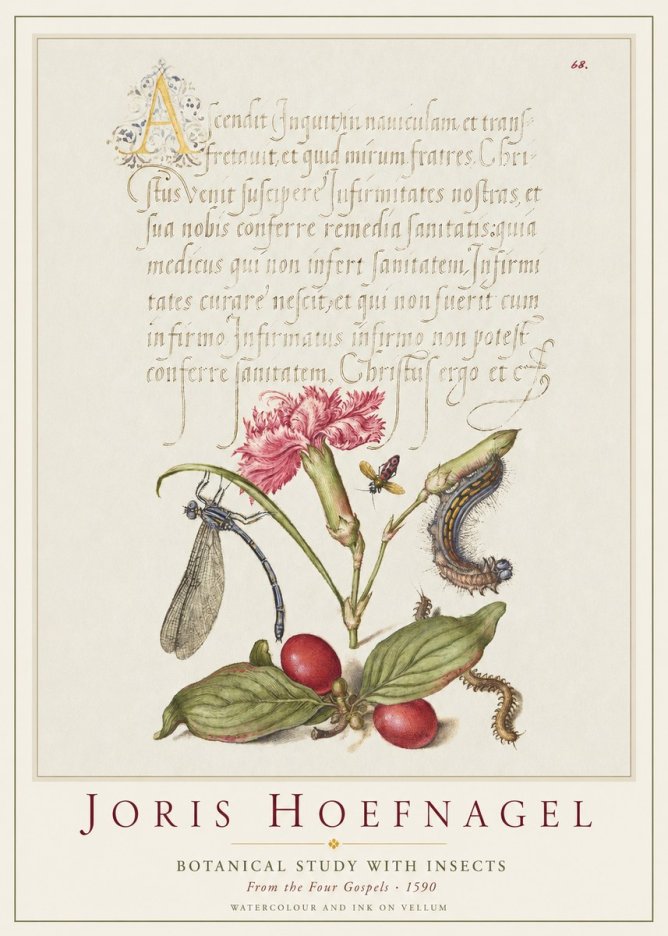 Joris Hoefnagel Botanical Study with Insects No1 - Affiche