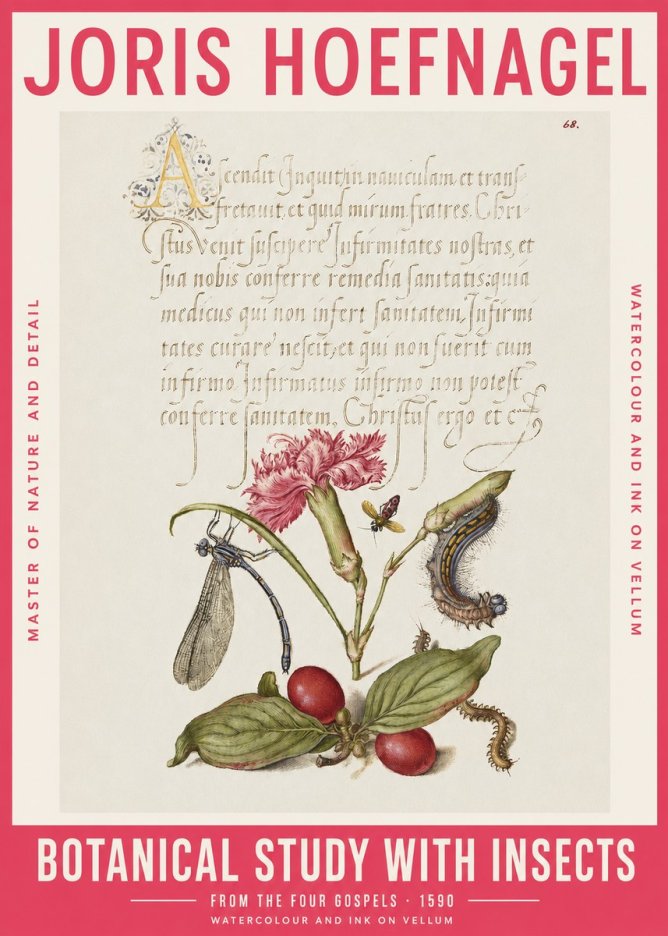 Joris Hoefnagel Botanical Study with Insects No2 - Affiche