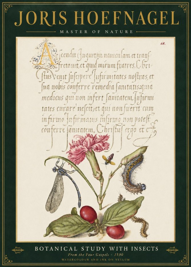 Joris Hoefnagel Botanical Study with Insects No3 - Affiche