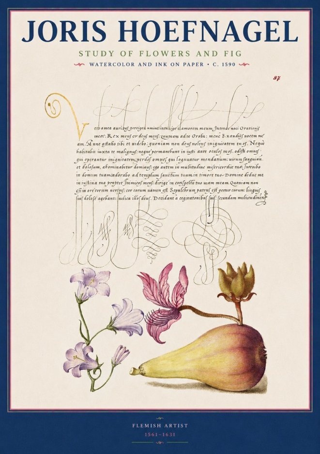 Joris Hoefnagel Study of Plants II No3 - Affiche