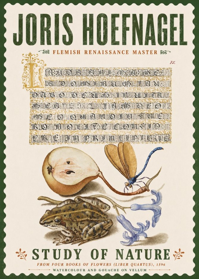 Joris Hoefnagel Study of Nature II No6 - Affiche