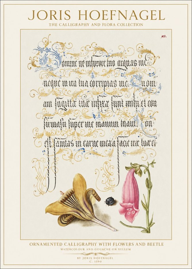 Joris Hoefnagel Ornamented Calligraphy with Flowers and Beetle No1 - Affiche
