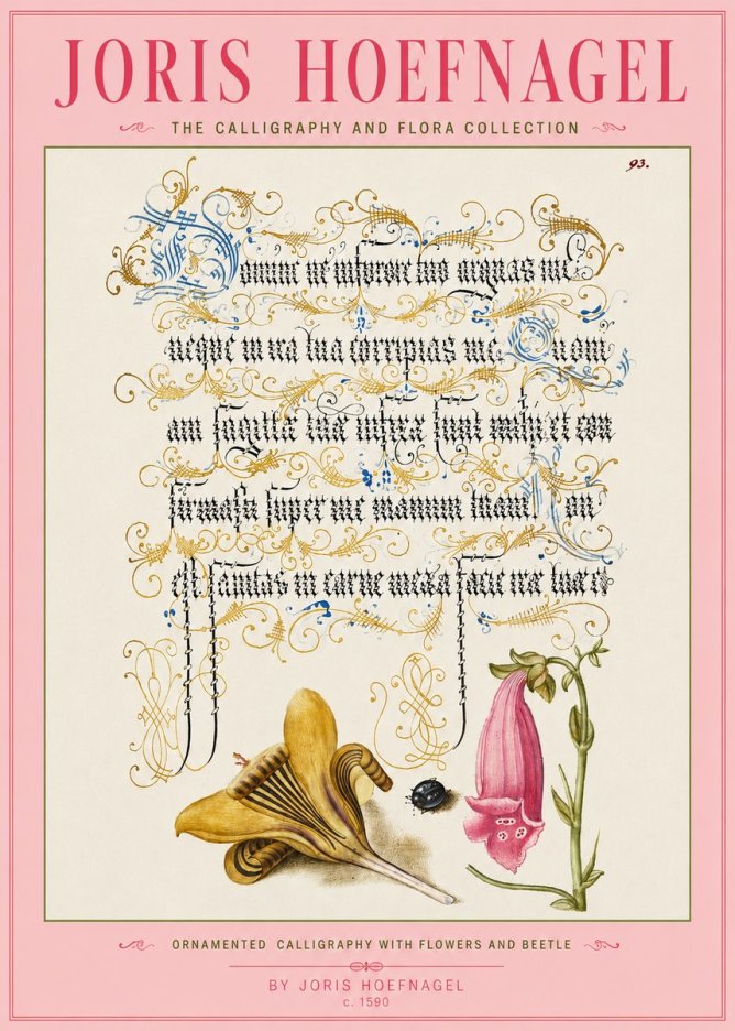 Joris Hoefnagel Ornamented Calligraphy with Flowers and Beetle No3 - Affiche