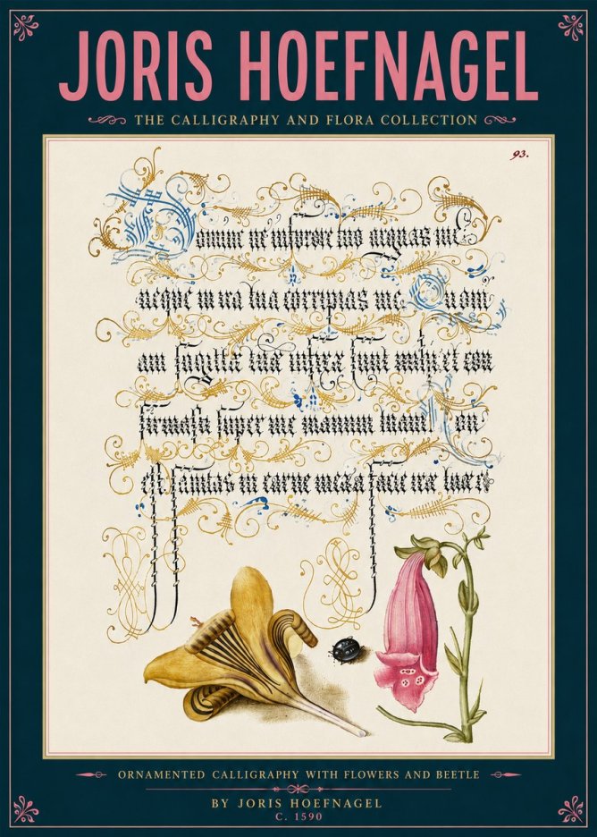Joris Hoefnagel Ornamented Calligraphy with Flowers and Beetle No6 - Affiche