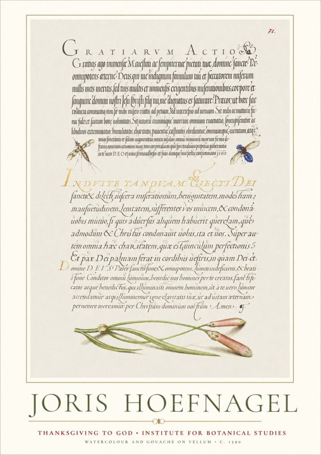 Joris Hoefnagel Thanksgiving to God • Institute for Botanical Studies No1 - Affiche