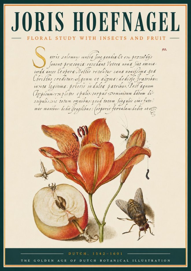 Joris Hoefnagel Floral Study with Insects and Fruit No3 - Affiche