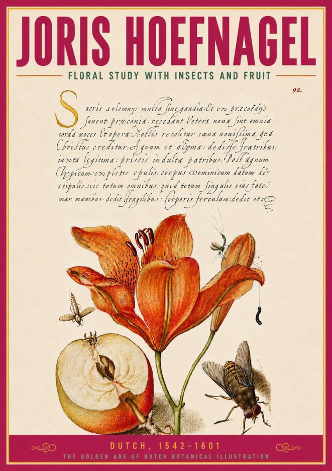 Joris Hoefnagel Floral Study with Insects and Fruit No5 - Affiche