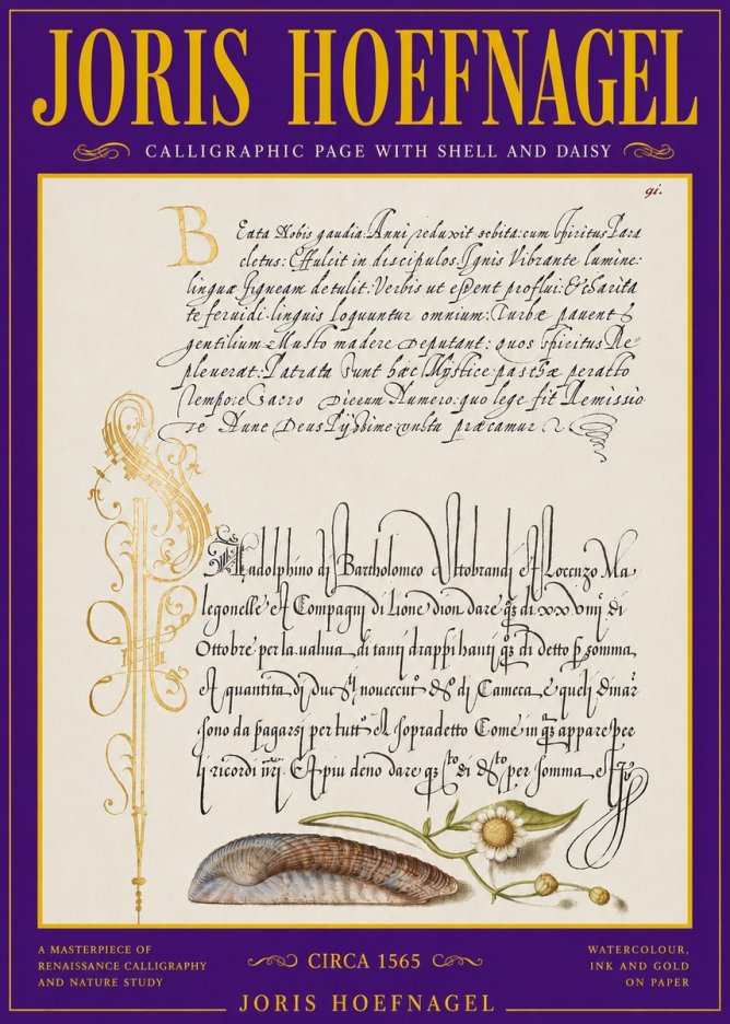 Joris Hoefnagel Calligraphic Page with Shell and Daisy No3 - Affiche