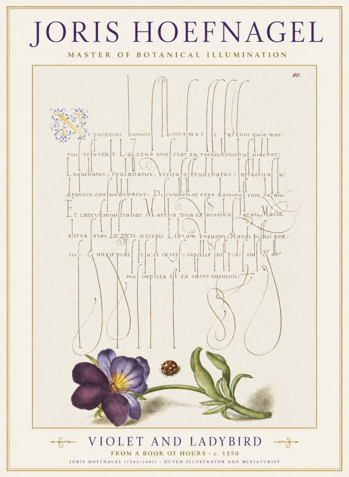 Joris Hoefnagel Violet and Ladybird No1 - Affiche