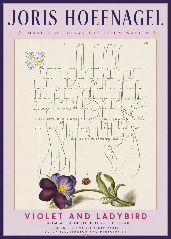 Joris Hoefnagel Violet and Ladybird No3 - Affiche