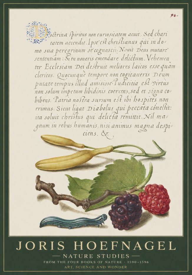 Joris Hoefnagel Nature Studies No1 - Affiche