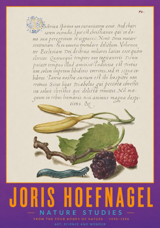 Joris Hoefnagel Nature Studies No2 - Affiche