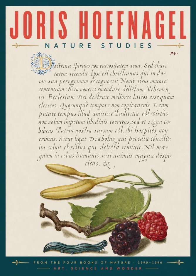 Joris Hoefnagel Nature Studies No5 - Affiche