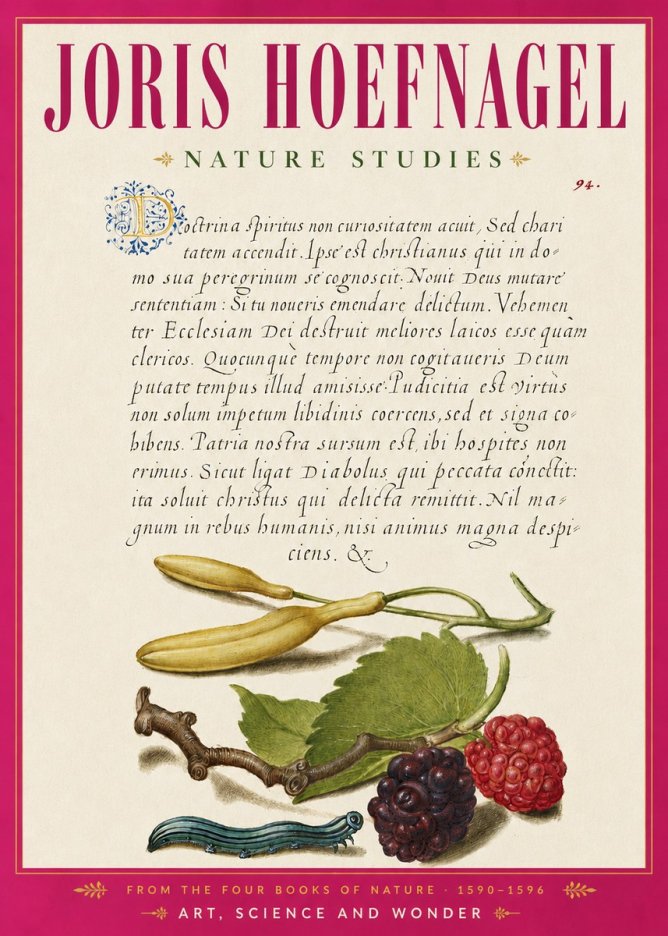 Joris Hoefnagel Nature Studies No6 - Affiche