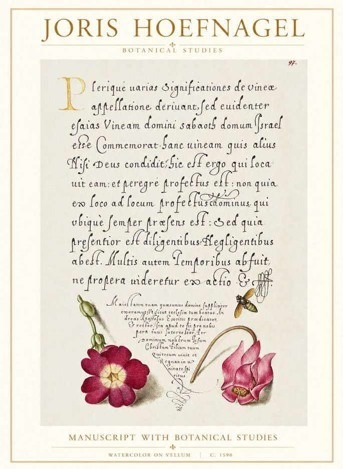 Joris Hoefnagel Manuscript with Botanical Studies No1 - Affiche