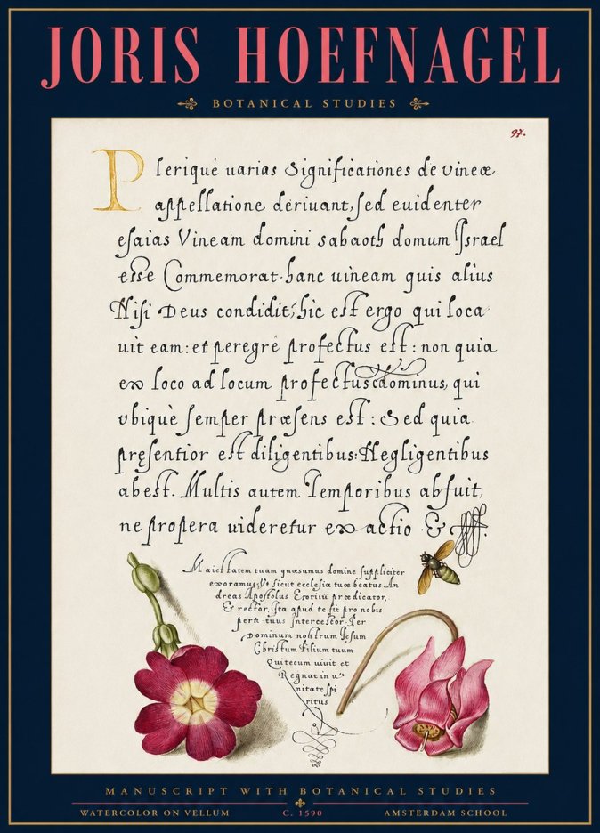 Joris Hoefnagel Manuscript with Botanical Studies No3 - Affiche