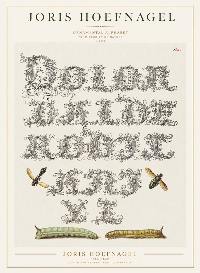 Joris Hoefnagel Ornamental Alphabet from Studies of Nature No1 - Affiche