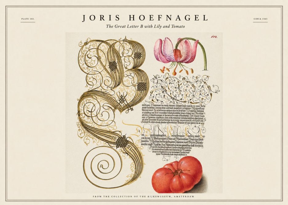 Joris Hoefnagel The Great Letter B with Lily and Tomato No1 - Affiche