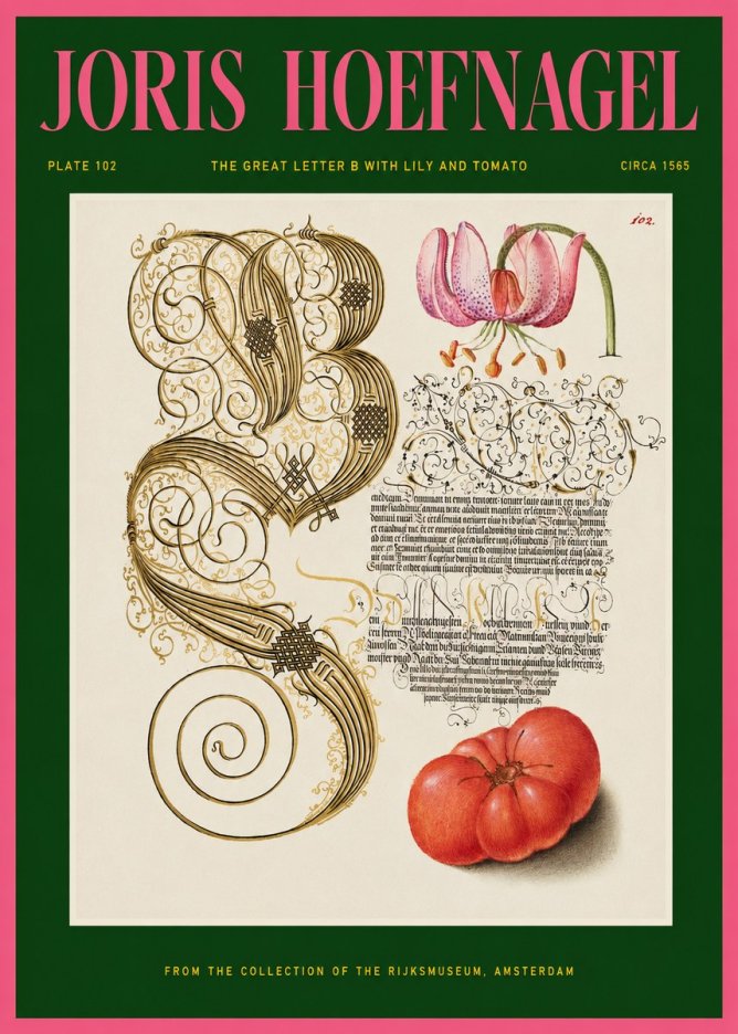 Joris Hoefnagel The Great Letter B with Lily and Tomato No2 - Affiche