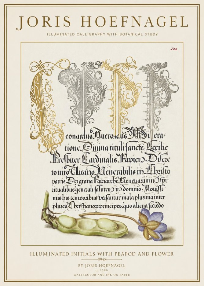 Joris Hoefnagel Illuminated Initials with Peapod and Flower No1 - Affiche