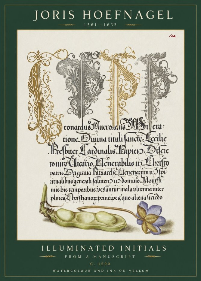 Joris Hoefnagel Illuminated Initials with Peapod and Flower No2 - Affiche
