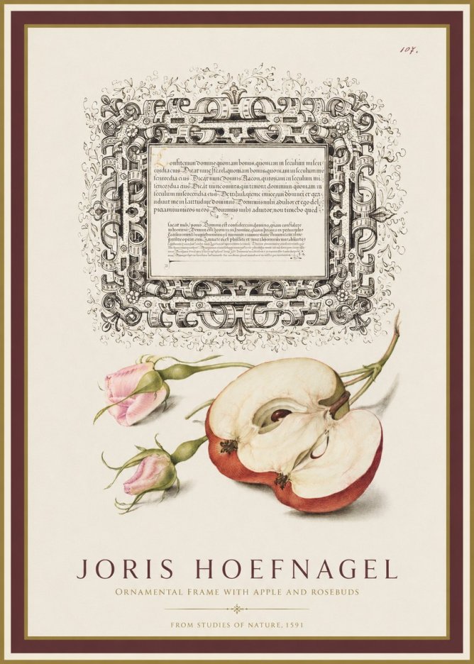 Joris Hoefnagel Illuminated Calligraphy and Botanical Study No2 - Affiche