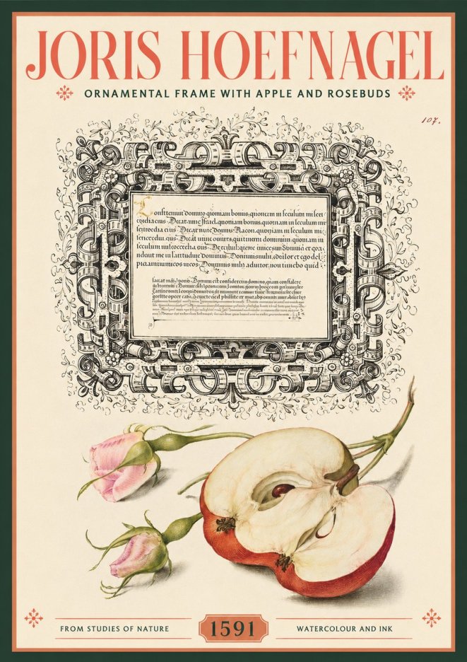 Joris Hoefnagel Illuminated Calligraphy and Botanical Study No3 - Affiche