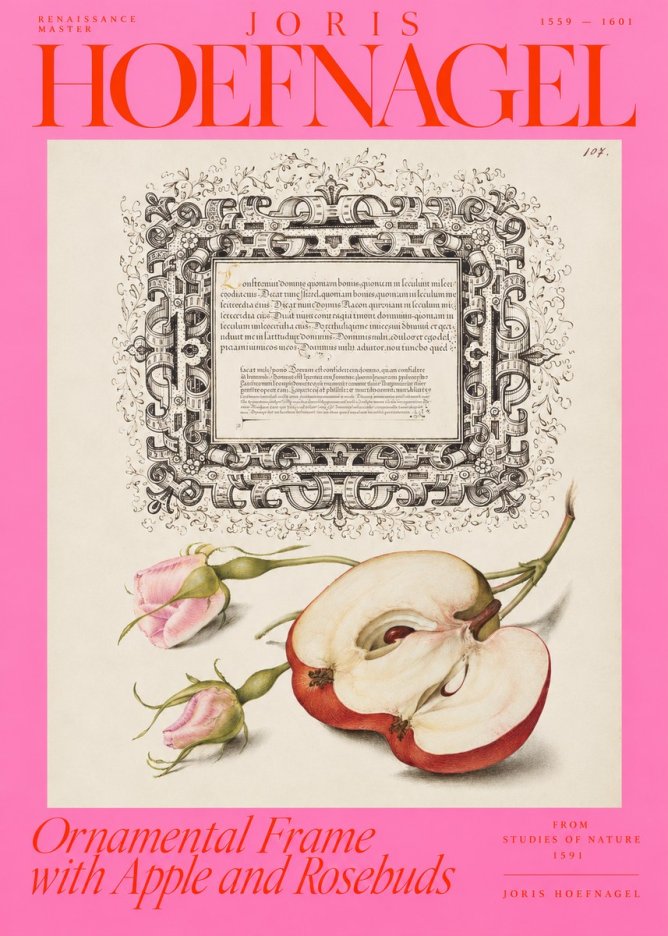 Joris Hoefnagel Illuminated Calligraphy and Botanical Study No4 - Affiche