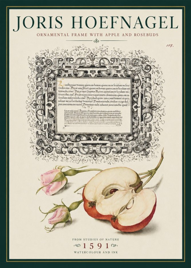 Joris Hoefnagel Illuminated Calligraphy and Botanical Study No5 - Affiche