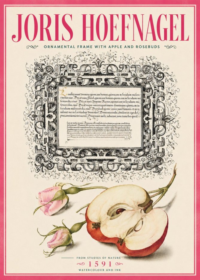 Joris Hoefnagel Illuminated Calligraphy and Botanical Study No6 - Affiche