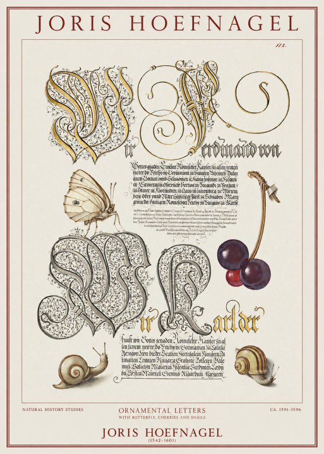 Joris Hoefnagel Ornamental Letters with Butterfly, Cherries and Snails No1 - Affiche
