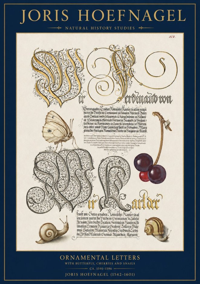 Joris Hoefnagel Ornamental Letters with Butterfly, Cherries and Snails No2 - Affiche