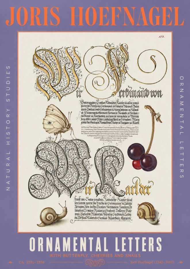 Joris Hoefnagel Ornamental Letters with Butterfly, Cherries and Snails No3 - Affiche