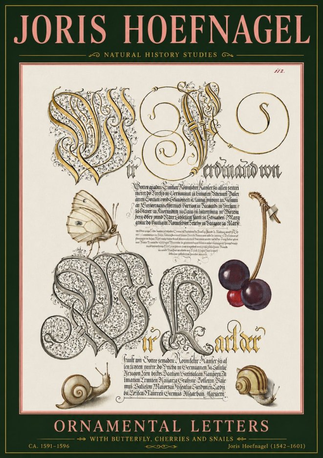Joris Hoefnagel Ornamental Letters with Butterfly, Cherries and Snails No5 - Affiche
