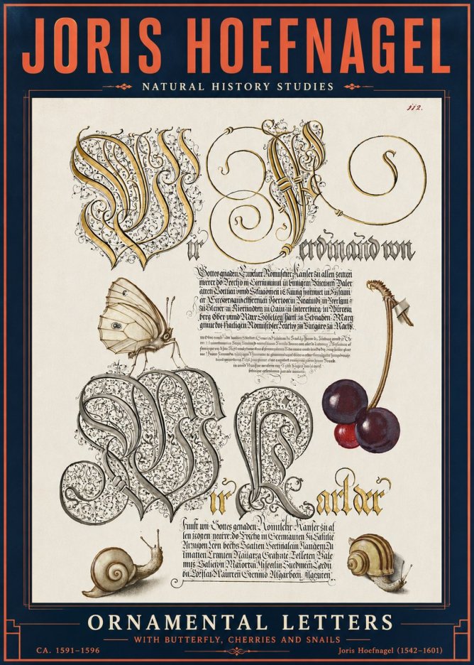 Joris Hoefnagel Ornamental Letters with Butterfly, Cherries and Snails No6 - Affiche